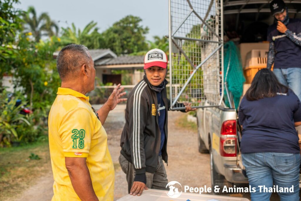 Nong Khang Village Dog Sterilisation