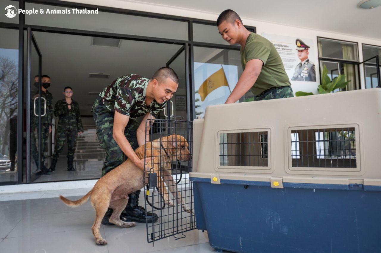 Army School Hua Hin