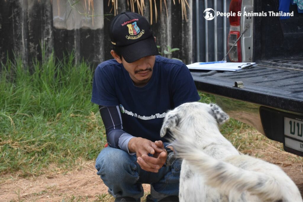 PAT Clinic In Thailand